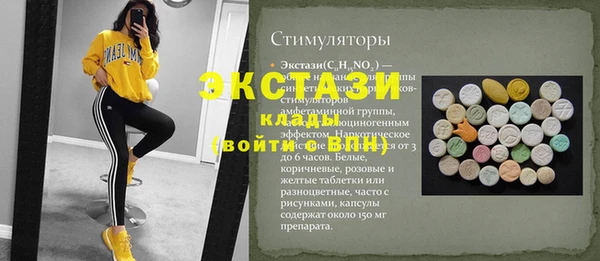крисы Надым