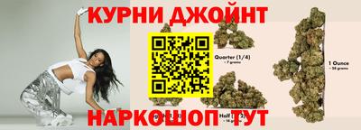 дмт Заводоуковск