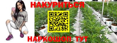 a pvp Жуковский