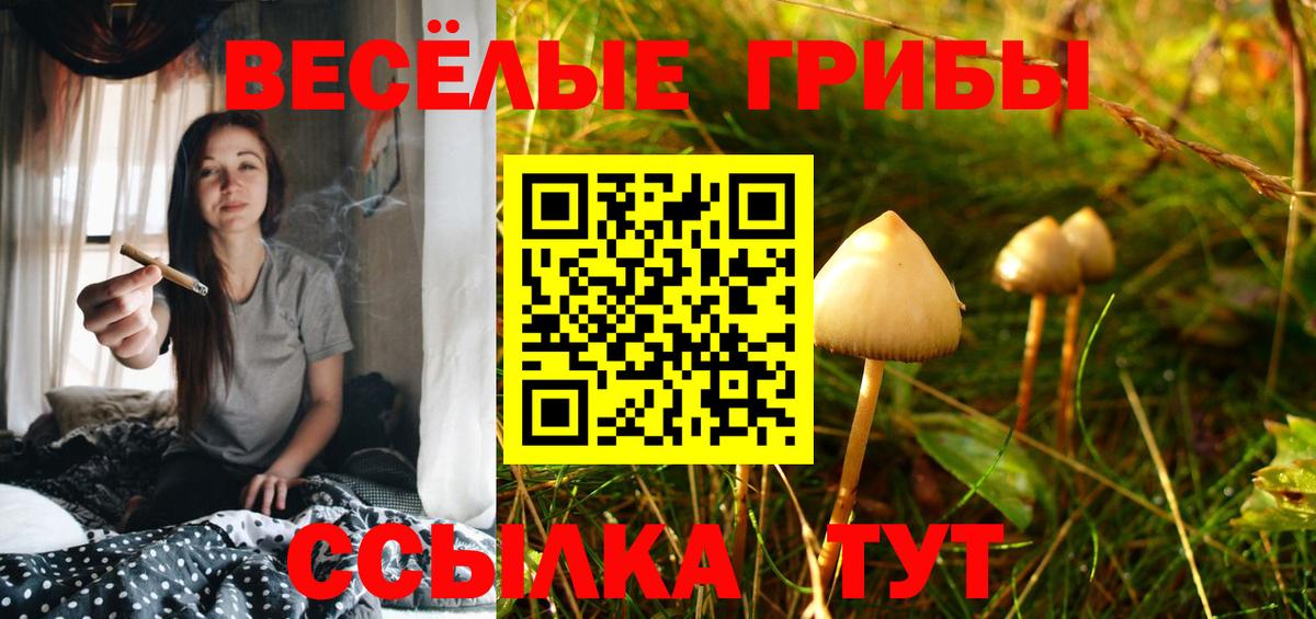Псилоцибиновые грибы MAGIC MUSHROOMS Екатеринбург