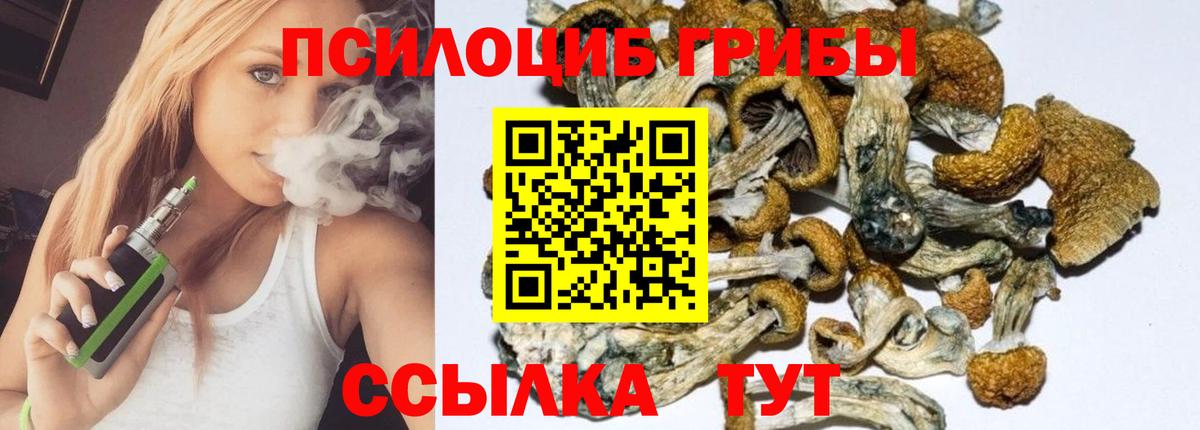 Екатеринбург  Псилоцибиновые грибы GOLDEN TEACHER  Вход с VPN 